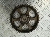 Camshaft pulley/ VANOS