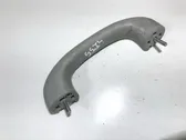 Front interior roof grab handle