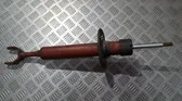 Front shock absorber/damper