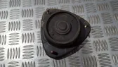 Coil spring mount