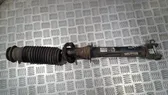 Rear shock absorber/damper