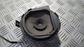 Front door speaker