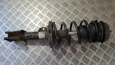 Front shock absorber/damper