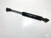 Tailgate/trunk strut/damper