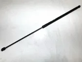Amortiguador/puntal del capó/tapa delantero