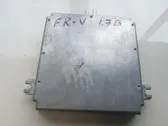 Calculateur moteur ECU