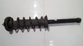 Rear shock absorber/damper