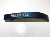 Rear/tail light trim molding