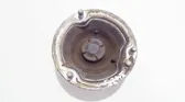 Coil spring mount