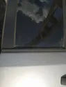 Moulures des vitres de la porte arrière