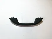 Front interior roof grab handle