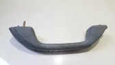 Front interior roof grab handle