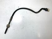 Abgastemperatursensor