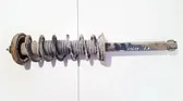 Rear shock absorber/damper