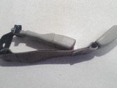 Hebilla del cinturón de seguridad trasero