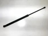Gasdruckfeder Dämpfer Motorhaube