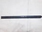 Listón embellecedor de la puerta delantera (moldura)