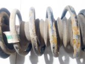 Front coil spring