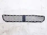 Front bumper lower grill