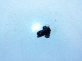 Sensor de la puerta delantera coupé