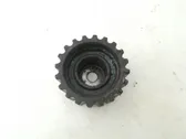 Crankshaft pulley