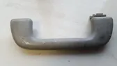 Front interior roof grab handle