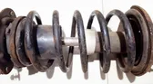 Front coil spring