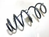 Front coil spring