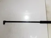Takaluukun tuen kaasujousi