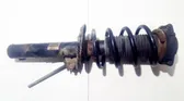 Front shock absorber/damper