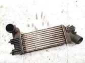 Intercooler radiator