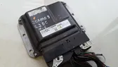 Calculateur moteur ECU