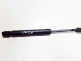 Tailgate/trunk strut/damper