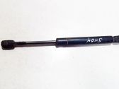 Tailgate/trunk strut/damper