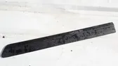 Rear door trim (molding)