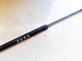 Tailgate/trunk strut/damper