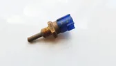 Oil level sensor