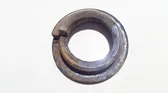 Front coil spring rubber mount