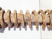 Muelle espiral delantero