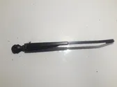 Rear wiper blade arm