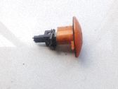 Seitenblinker