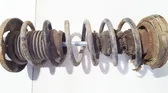 Rear coil spring