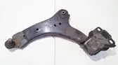 Front lower control arm/wishbone