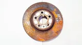 Front brake disc