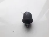 Oil level sensor