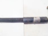 Rear shock absorber/damper