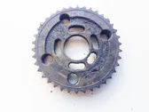 Fuel pump gear (pulley)