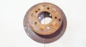 Rear brake disc