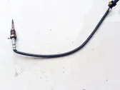 Exhaust gas temperature sensor