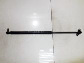 Tailgate/trunk strut/damper